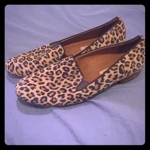 paul green leopard print